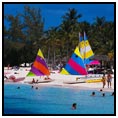 Grand Bahama Island Beach